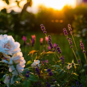 Pawleys Island spring activities