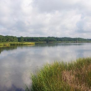 Huntington Beach State Park (1)