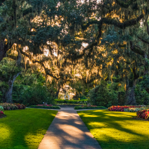 Brookgreen Gardens