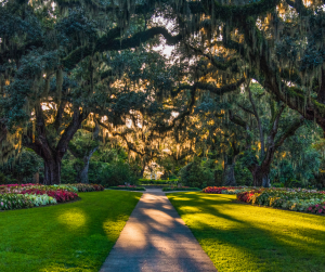 Brookgreen Gardens