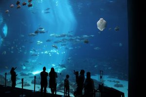 People at an aquarium 