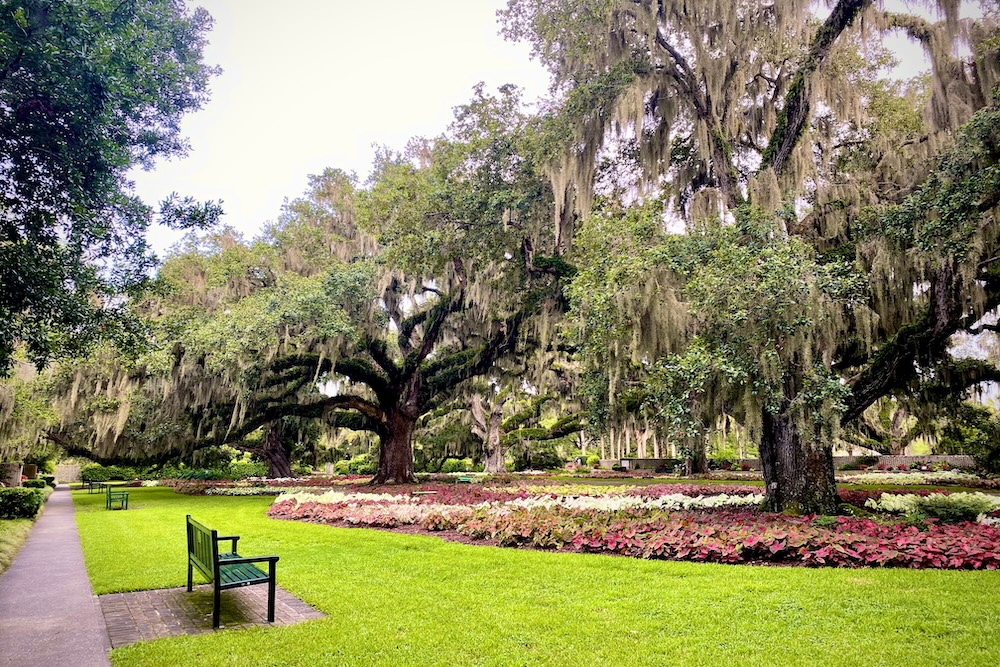 South Carolina gardens