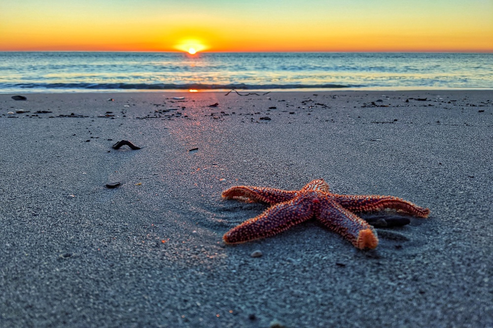 Pawelys Island BEachfront sunset