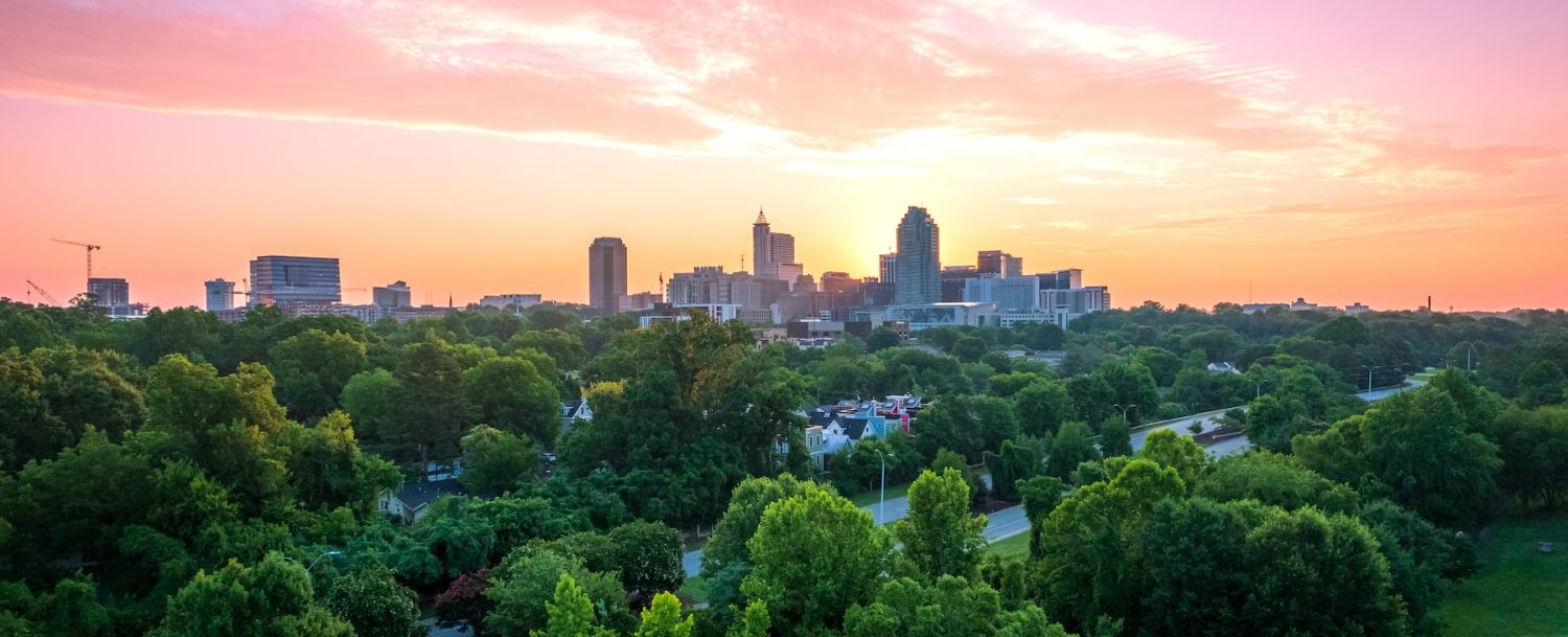 raleigh nc skyline