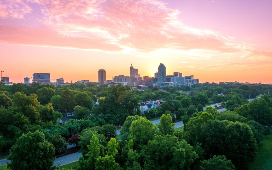 raleigh nc skyline