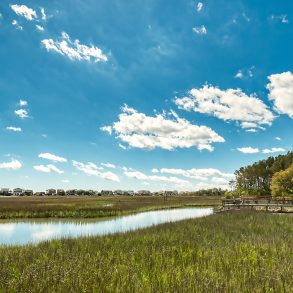 seabrook island salt marsh