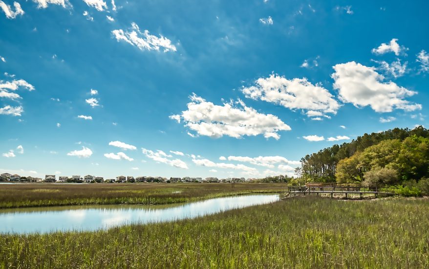 seabrook island salt marsh